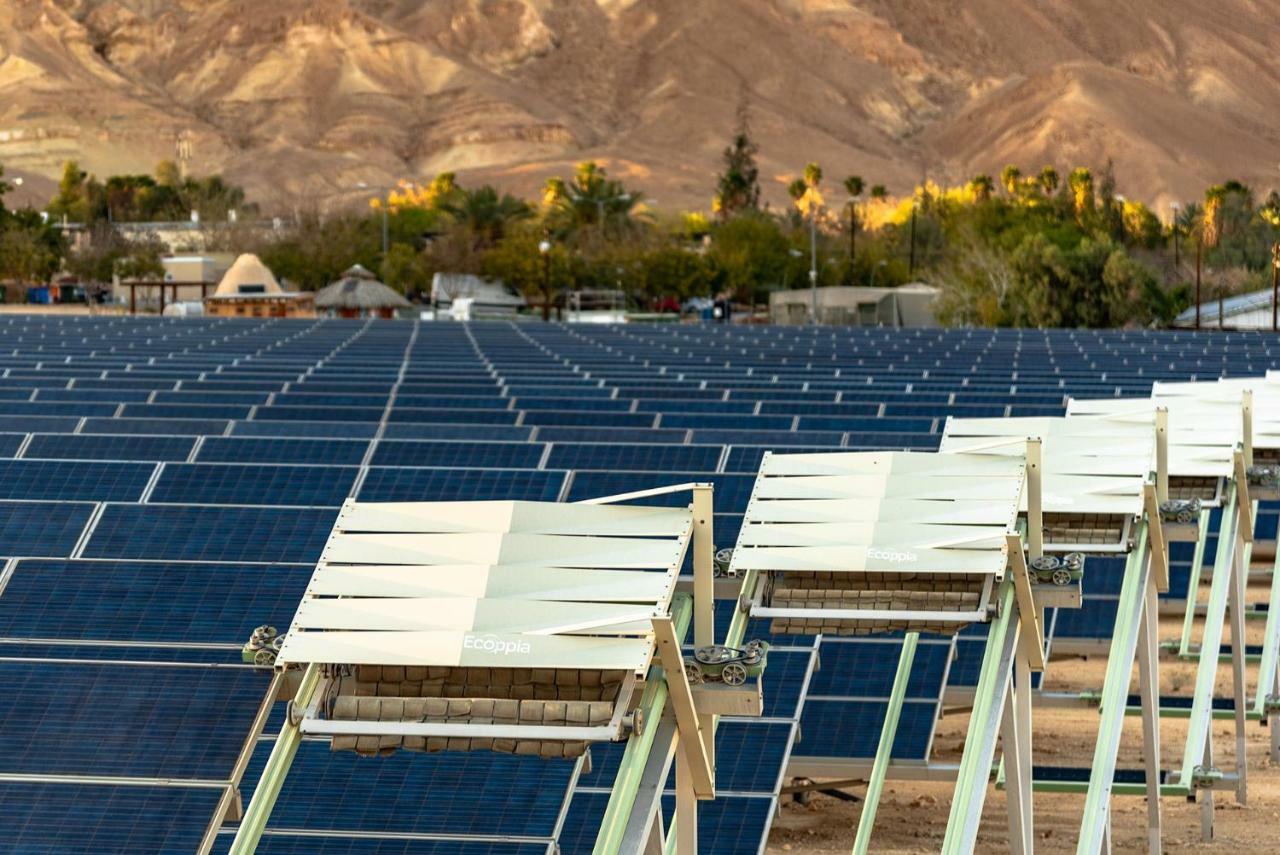 Kibbutz Ketura Guest House Nahal Ya'alon Экстерьер фото