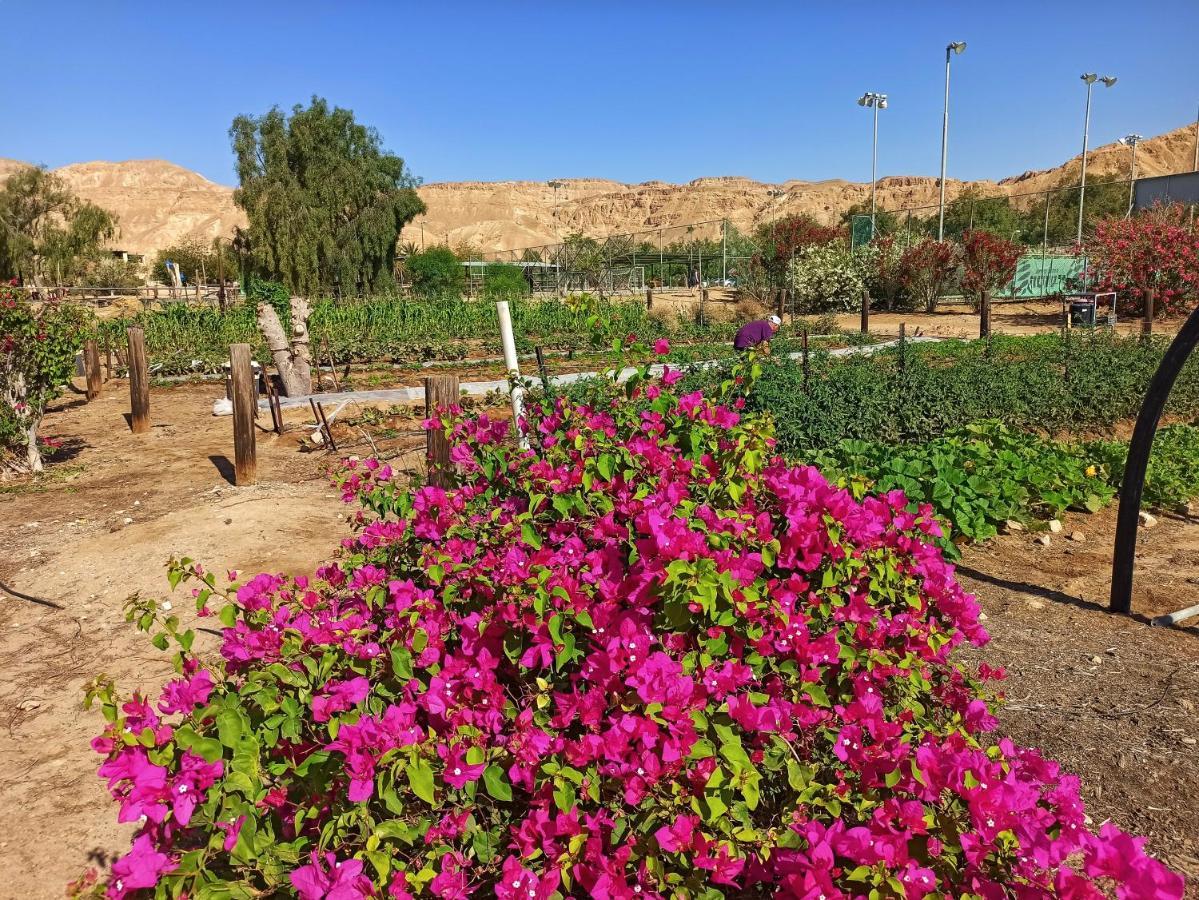 Kibbutz Ketura Guest House Nahal Ya'alon Экстерьер фото