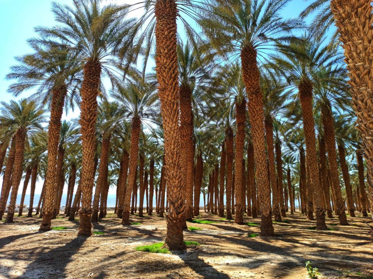 Kibbutz Ketura Guest House Nahal Ya'alon Экстерьер фото